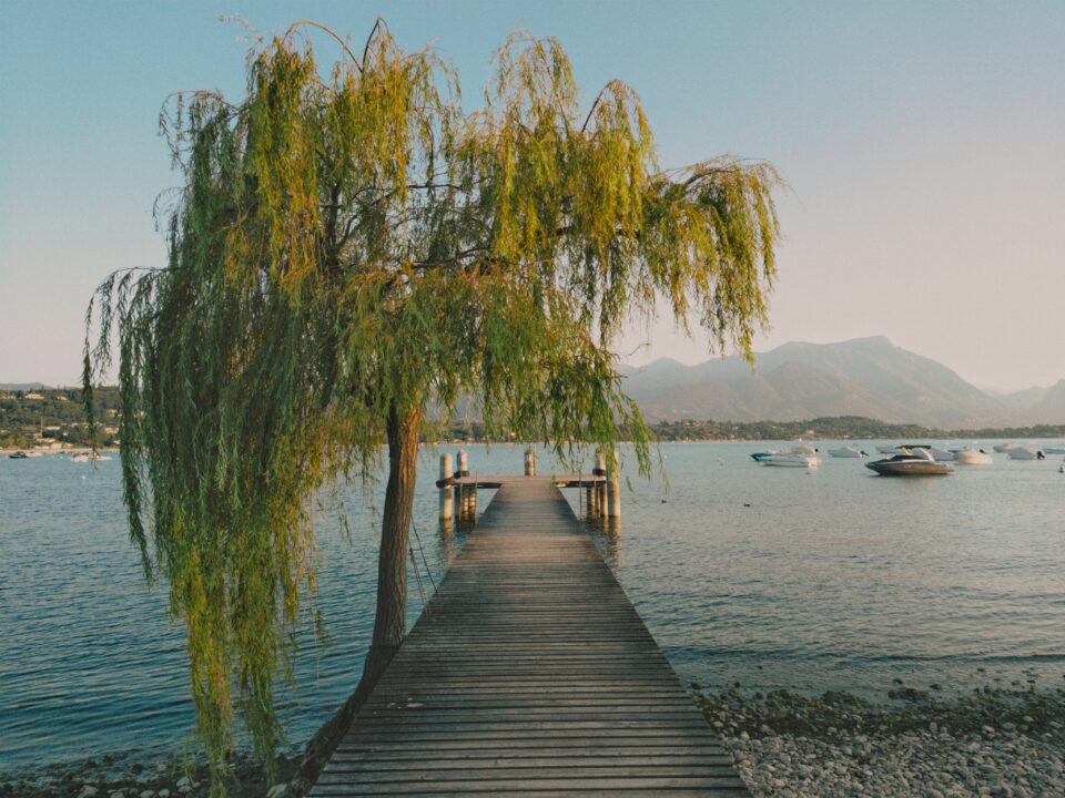 Pontile in legno sul lago, con un salice sulla sinistra, barche sull’acqua e montagne sullo sfondo.