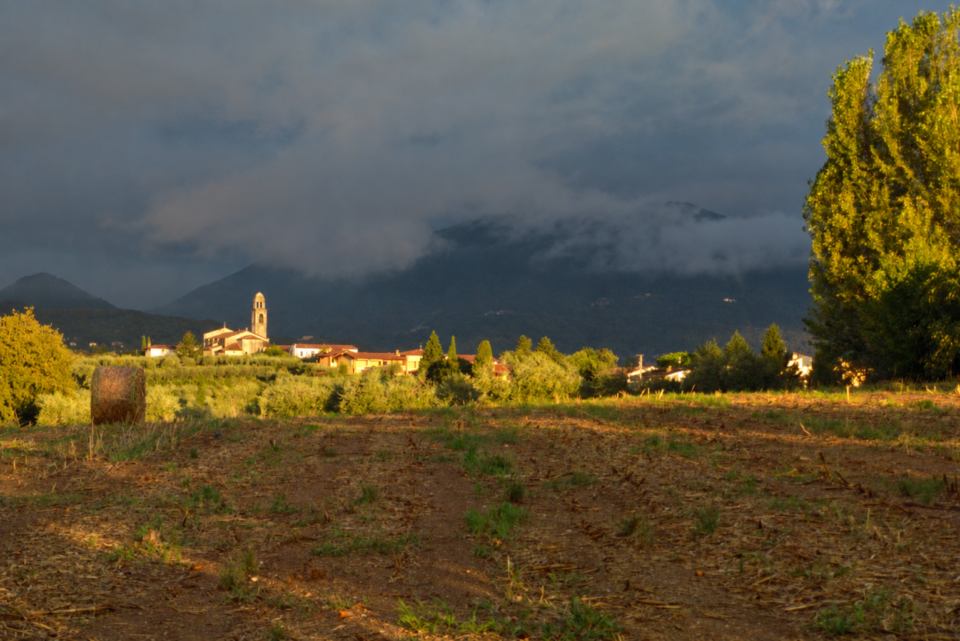 Campo coltivato in primo piano, case e una torre campanaria al centro, montagne coperte di nuvole sullo sfondo e un alto albero sulla destra.