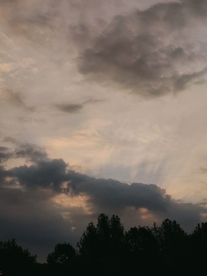 Cielo nuvoloso con raggi di luce tra le nubi sopra la sagoma scura di alberi.