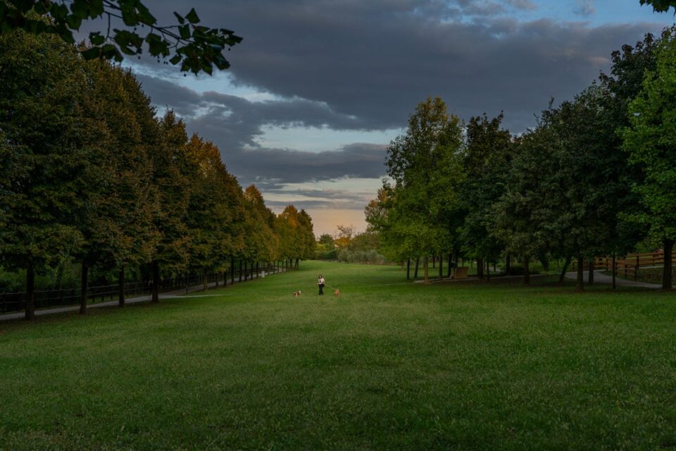 Ampio prato verde fiancheggiato da file di alberi, con due piccole figure in lontananza e cielo nuvoloso.