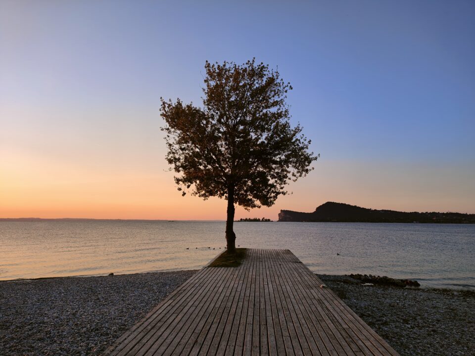 Passerella in legno che conduce verso l’acqua al tramonto, con un albero al centro e una costa bassa sullo sfondo.
