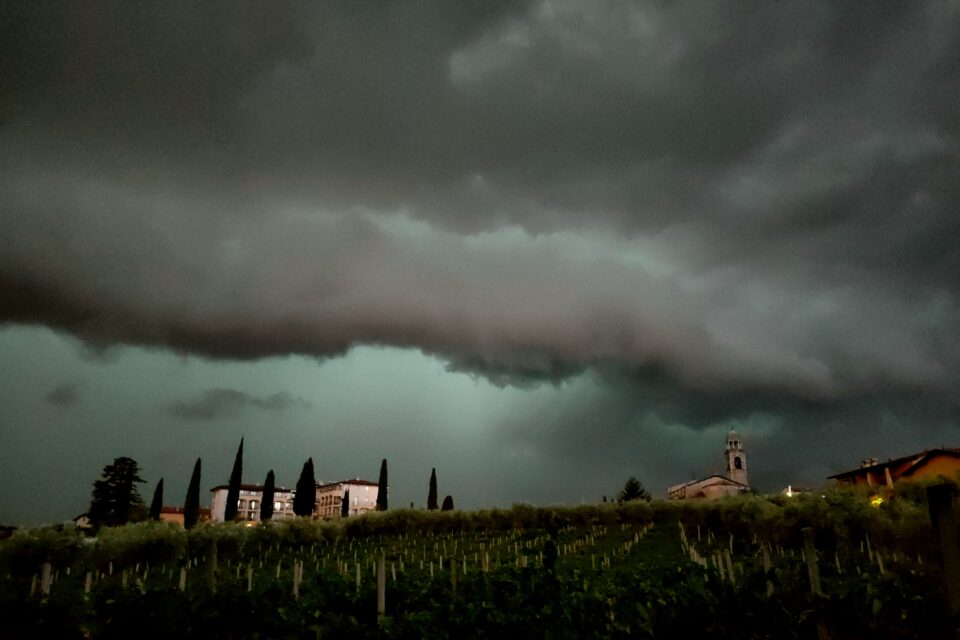 Vigneti in primo piano sotto un cielo scuro e nuvoloso; sullo sfondo si vedono edifici, cipressi e il campanile di una chiesa.