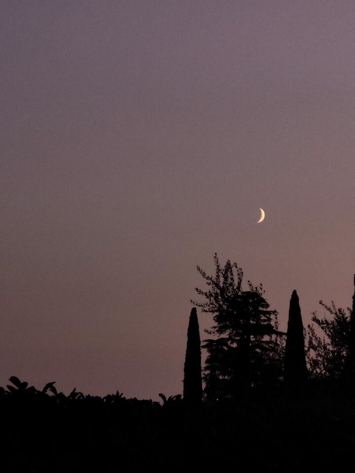 Cielo crepuscolare con una sottile luna crescente sopra la sagoma scura di alberi e vegetazione.