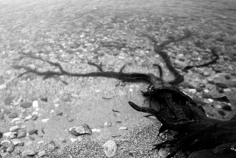 nel ventre del lago