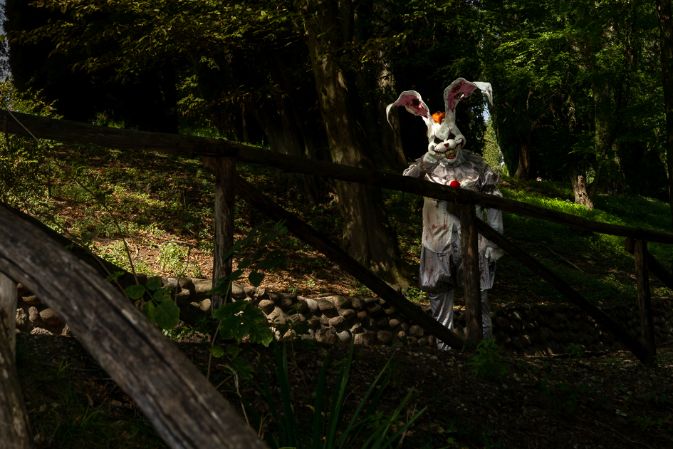 Figura umana in costume con maschera da coniglio e lunghe orecchie, visibile dietro una staccionata di legno in un'area alberata.
