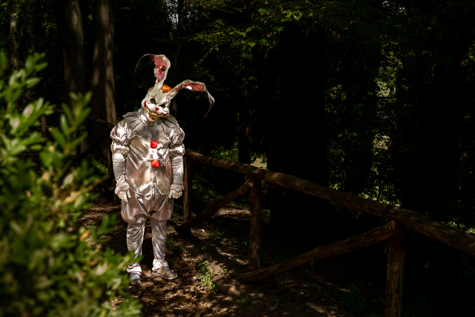 Persona in costume da coniglio argentato su un sentiero nel bosco, accanto a una staccionata di legno.