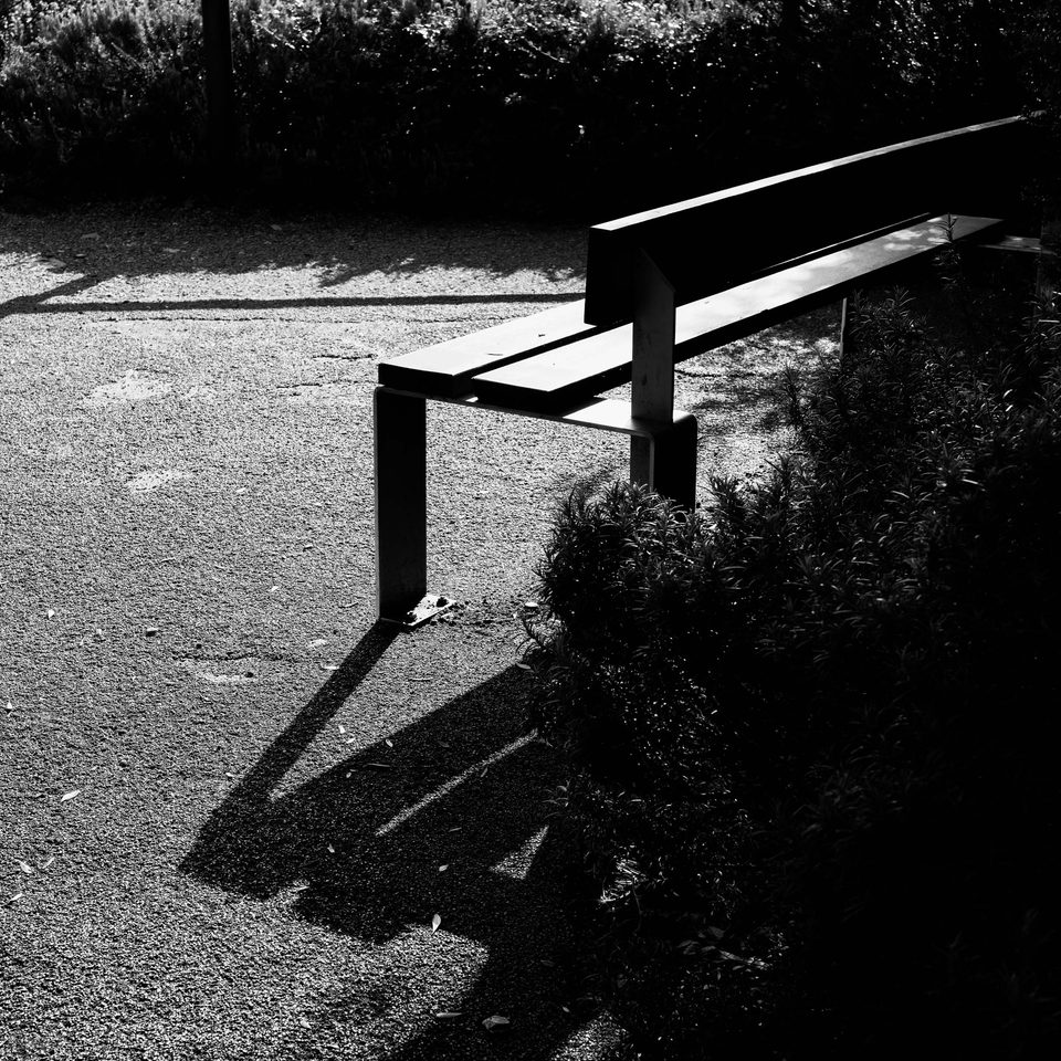 Panchina in legno e metallo lungo un sentiero ghiaioso, illuminata dal sole con ombre nette, circondata da cespugli in bianco e nero.